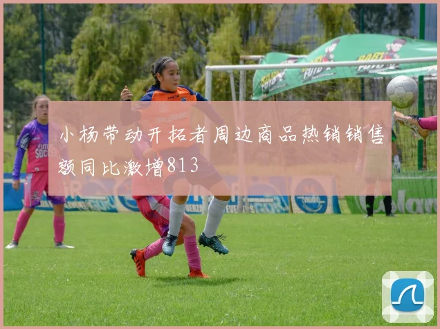 小杨带动开拓者周边商品热销销售额同比激增813